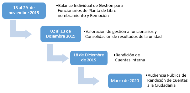 Balance de Gestión Individual y Rendición de Cuentas 2019