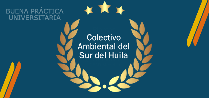 Buena Practica Universitaria