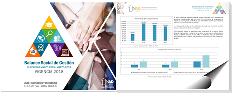 Documento Balance Gestión 2017