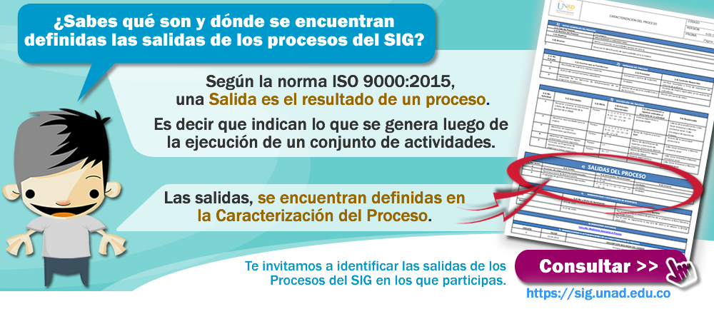  Acerca de las Salidas de Procesos