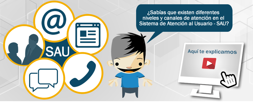 Niveles y Canales de atención del SAU