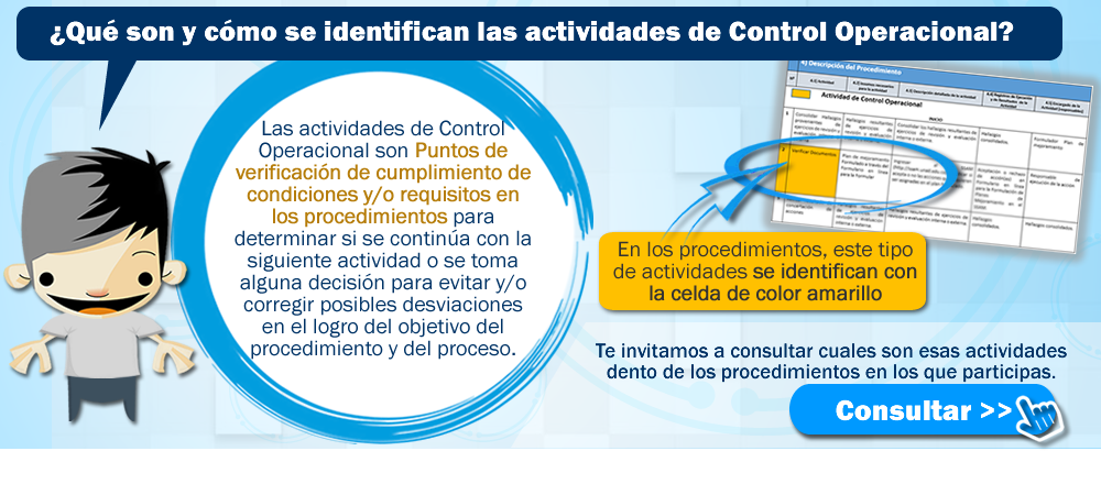  Acerca de los controles operacionales
